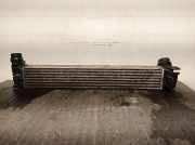 Ladeluftk?hler 144960022R Renault Megane III Coupe (DZ) Schr?gheck 3-drs 1.9 dCi (F9Q-872(F9Q-P8))