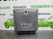Motorsteuergerät 038906019BJ Volkswagen PASSAT BERLINA (3B2) 1.9 TDI AJM