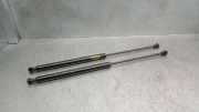 Gasdruckfedern Set Hinten 8200000902B Renault II (BG0/1_) 2.2 dCi (BG0F)