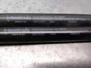 Gasdruckfedern Set Hinten 7792951 Lancia Ypsilon (840) Schrägheck 1.2 LE,LS (840.A.3000)