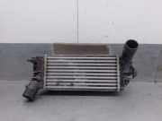 Ladeluftkühler L1BG6D624AB Ford Fiesta 7 Schrägheck 1.0 EcoBoost 12V Hybrid 125 (B7JB)