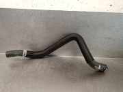 Schlauch 924005772R Nissan Juke (F16) SUV 1.0 DIG-T 117 12V (HRA0)