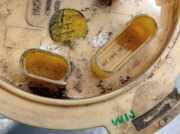 Tankschwimmer 3Q0919050G Volkswagen Passat (3G2) Limousine 2.0 TDI 16V 150 (DFGA) DFGA