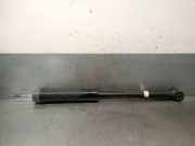 Stoßdämpfer Links Hinten 562106719R Nissan Juke (F16) SUV 1.0 DIG-T 117 12V (HRA0)