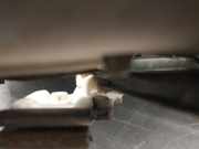 Fensterheber Links Hinten DA6C7397XA Mazda 2 (DJ/DL) Schrägheck 1.5 SkyActiv-G 90 (P5)