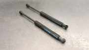Gasdruckfeder Set Vorne 654704597R Renault SCÉNIC IV (J9_) 1.5 dCi 110