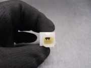 Antenne KD47676NXA Mazda 3 (BP) Limousine 2.0 SkyActiv-G 122 M Hybrid 16V (PEXN)