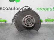 Achsschenkel Halter Rechts Hinten Mercedes-Benz CLASE E (W211) BERLINA 3.2 CDI CAT