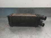 Ladeluftkühler 1498987080 Fiat Scudo (270) Van 1.6 D Multijet (DV6UTED4(9HU))