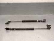 Gasdruckfeder Set Vorne 81160H1000 Hyundai Terracan SUV 2.9 CRDi 16V (J3)