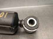 Stoßdämpfer Rechts Vorne 8200715101 Renault II Furgoneta (FD) 2.5 dCi 120