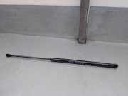 Gasdruckfedern Set Hinten 689500H020 Citroën C1 Schrägheck 1.4 HDI (DV4TD(8HT))