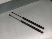 Gasdruckfedern Set Hinten A1699800864 Mercedes-Benz B (W245) Schrägheck 2.0 B-200 16V (M266.960)