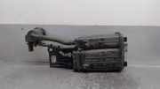Aktivkohlefilter 31420G3000 Kia Xceed SUV 1.0 T-GDi 12V (G3LE)