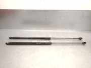 Gasdruckfeder Set Vorne 654702017R Dacia Duster (SR) SUV 1.0 TCE 12V LPG (H4D-470(H4D-E4))