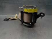 Sonnenblende Rechts 7704003952 Renault BERLINA/FAMILIAR/FURGONETA F6 Familiar (R 2370)