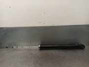 Stoßdämpfer Links Hinten 485300D860 Toyota Yaris III (P13) Schrägheck 1.0 12V VVT-i (1KR-FE)