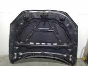 Motorhaube 41002993151 BMW X1 (E84) SUV xDrive 20d 2.0 16V (N47-D20C)