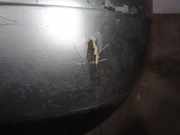 Tachoeinheit Kmh 85012AE240 Subaru Outback (BH) 3.0 H6 24V (EZ30D)