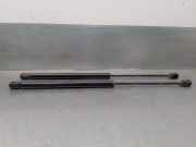 Gasdruckfedern Set Hinten 1313218 Ford Focus 1 Schrägheck 1.8 TDCi 100 (FFDA)