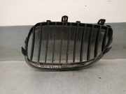 Grill 51137027062 BMW SERIE 5 BERLINA (E60) 3.0 24V CAT