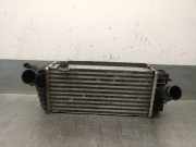 Ladeluftkühler 282702A430 Hyundai Tucson (TL) SUV 1.7 CRDi 16V 2WD (D4FD)