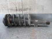 Stoßdämpfer Links Vorne 6632006780096171 Peugeot 206 (2A/C/H/J/S) Schrägheck 1.9 D (DW8B(WJY))