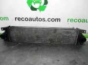 Ladeluftkühler 7701057121 Renault MASTER II PH. 2 DOKA/PR. FGST 2.5 Diesel dCi FAP CAT