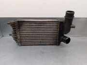 Ladeluftkühler 1307012080 Peugeot CAJA ABIERTA (RS2850)(230)(->´02) 2.5 Turbodiesel