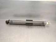 Gasdruckfedern Set Hinten 51247366403 BMW 5 serie (G30) Limousine 523d 2.0 TwinPower Turbo 16V (B47-D20A)