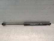 Gasdruckfeder Set Vorne 52216615 Fiat 500L (199) Großraumlimousine 1.3 D 16V Multijet (55283775)