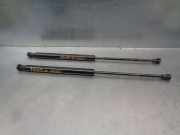Gasdruckfedern Set Hinten 51794232 Ford Ka II Schrägheck 1.2 (169.A.4000)
