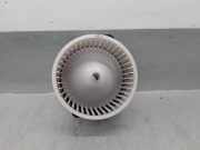 Heizl?fter F00S3B2542 Hyundai i20 Coupe Schr?gheck 3-drs 1.0 T-GDI 100 12V (G3LC)