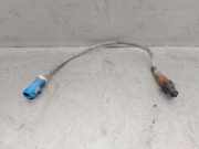 Lambdasonde 3M519G444BB Ford Focus 2 Schrägheck 1.6 16V (HWDA)