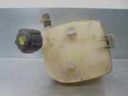 Ausgleichbehälter - - 8200369313 Renault Twingo II (CN) Schrägheck 3-drs 1.5 dCi 75 FAP (K9K-P820(Euro 5))