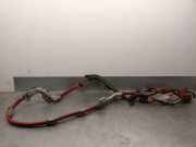 Kabel 8216447080 Toyota Prius (ZVW3) Schrägheck 1.8 16V (2ZRFXE)