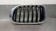 Grill 51117338571 BMW X3 (F25) SUV xDrive20d 16V (B47-D20A)