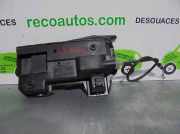 Türgriff Innen Links Hinten CAJA1 Land + Range Rover Range Rover II Geländewagen 2.5 DT,DSE (25-6T)