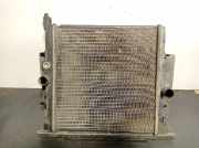 Radiator 9625187080 Peugeot 206 (2A/C/H/J/S) Schr?gheck 1.1 XN,XR (TU1JP(HFX))
