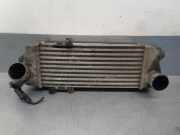Ladeluftkühler 282702A62X Hyundai 1.6 CRDi CAT