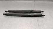 Gasdruckfedern Set Hinten 51247201940 BMW (E71, E72) xDrive 35 d
