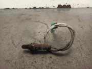 Ansaugkrümmer 8200694029 Renault II (BG0/1_) 2.2 dCi (BG0F)