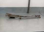 Scheinwerfer Rechts 260108C006 Nissan Serena (C23) Großraumlimousine 2.3 SLX,SGX Diesel (LD23)