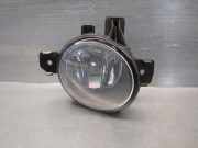 Nebelscheinwerfer Rechts Vorne 63177184318 BMW X3 (E83) 3.0 Turbodiesel CAT