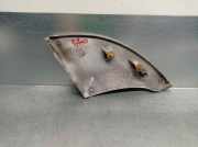 Zierleiste VOOR VOOR 1306531070 Fiat Ducato (250) Ch.Cab/Pick-up 2.0 D 115 Multijet (250.A.1000(Euro 5))