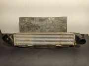 Ladeluftkühler 17519846914 BMW X1 (U11) SUV sDrive 18d 2.0 16V (B47-C20B)