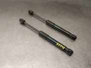 Gasdruckfeder Set Vorne 51237419387 BMW 3 serie (G20) Limousine 330e 2.0 TwinPower Turbo 16V (B48-B20B)
