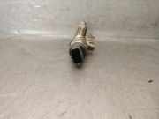 Einspritzdüsen Düsenstock 8200347593 Nissan Primastar Bus 2.5 dCi 140 16V (G9U-730)