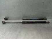 Gasdruckfedern Set Hinten 9686809480 Citroën CITROËN 2.0 HDi 165