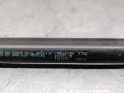 Gasdruckfedern Set Hinten 1492653080 Citroën C8 Großraumlimousine 2.0 16V (EW10J4(RFN))